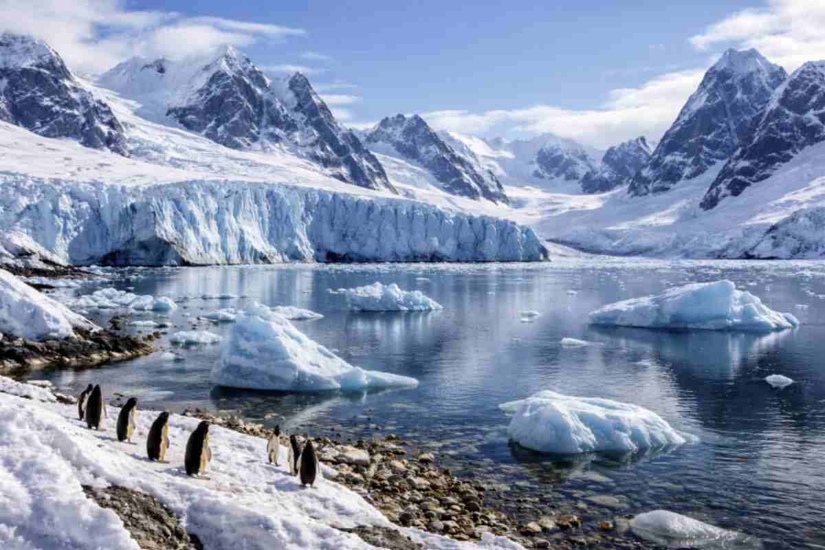 Si tratta delle famigerate Blood Falls, una cascata di un rosso così intenso da sembrare sangue vivo che sgorga dalle profondità ghiacciate.